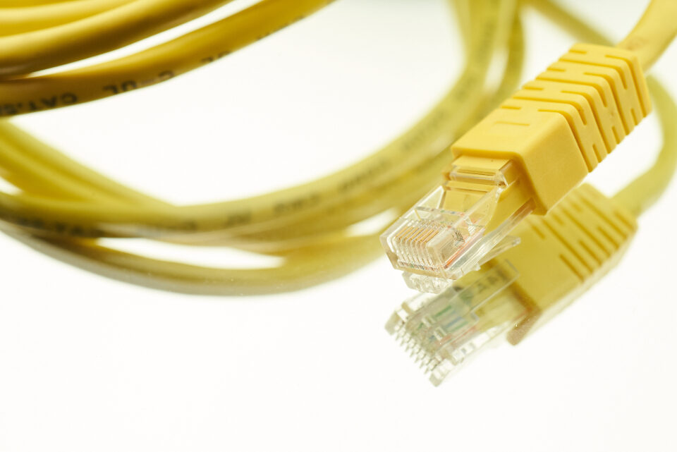 Yellow network cables on a white background